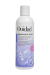 Bottle of Ouidad Unbreakable Bonds Bond Building Shampoo on white background